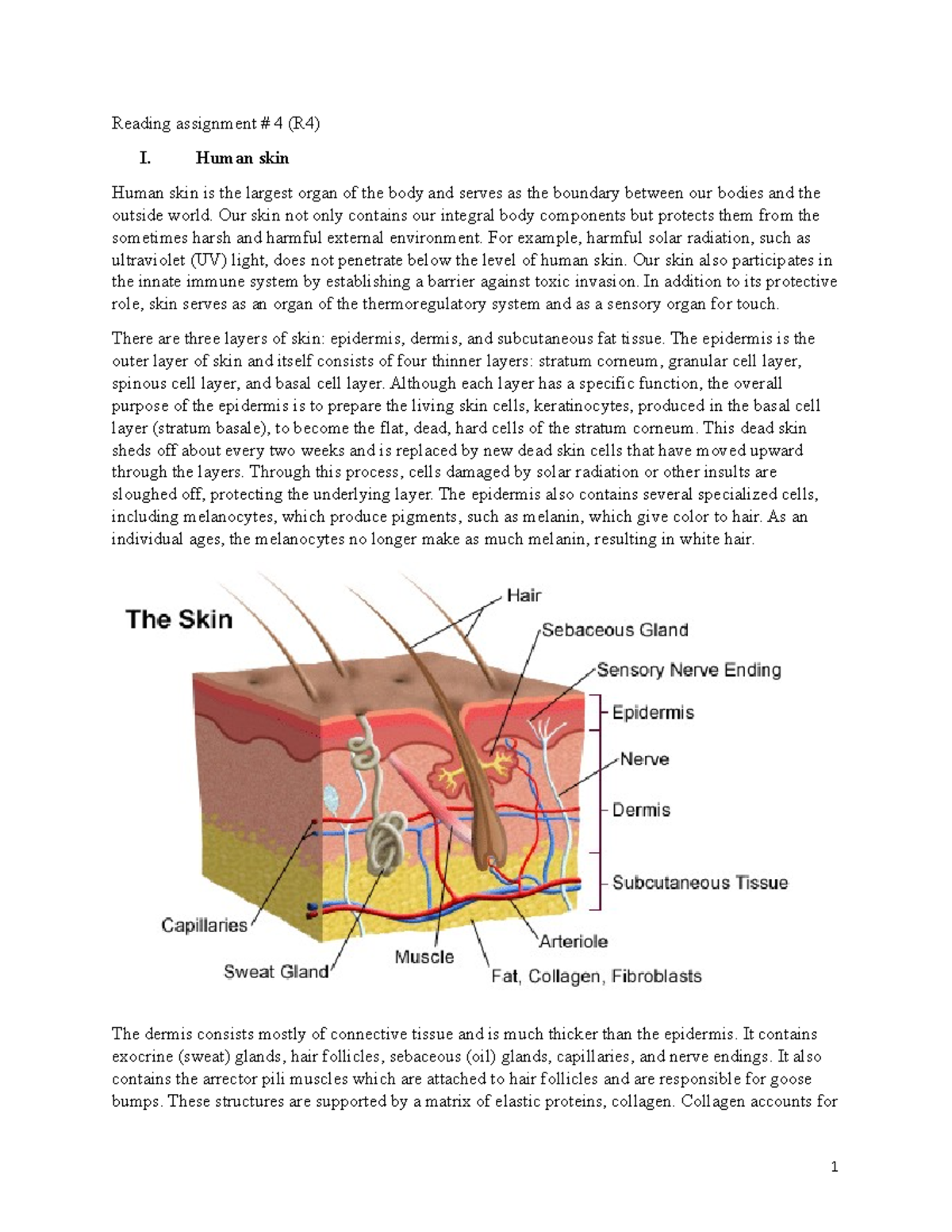 R4 Integumentary and musculoskeletal - Reading assignment # 4 (R4) I ...