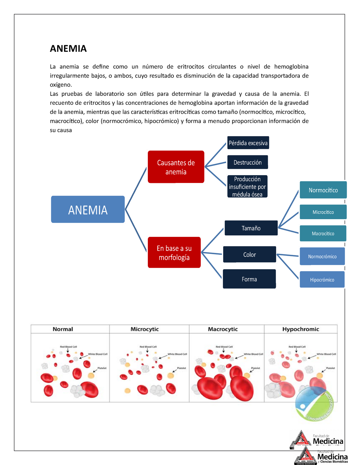 anemia assignment pdf