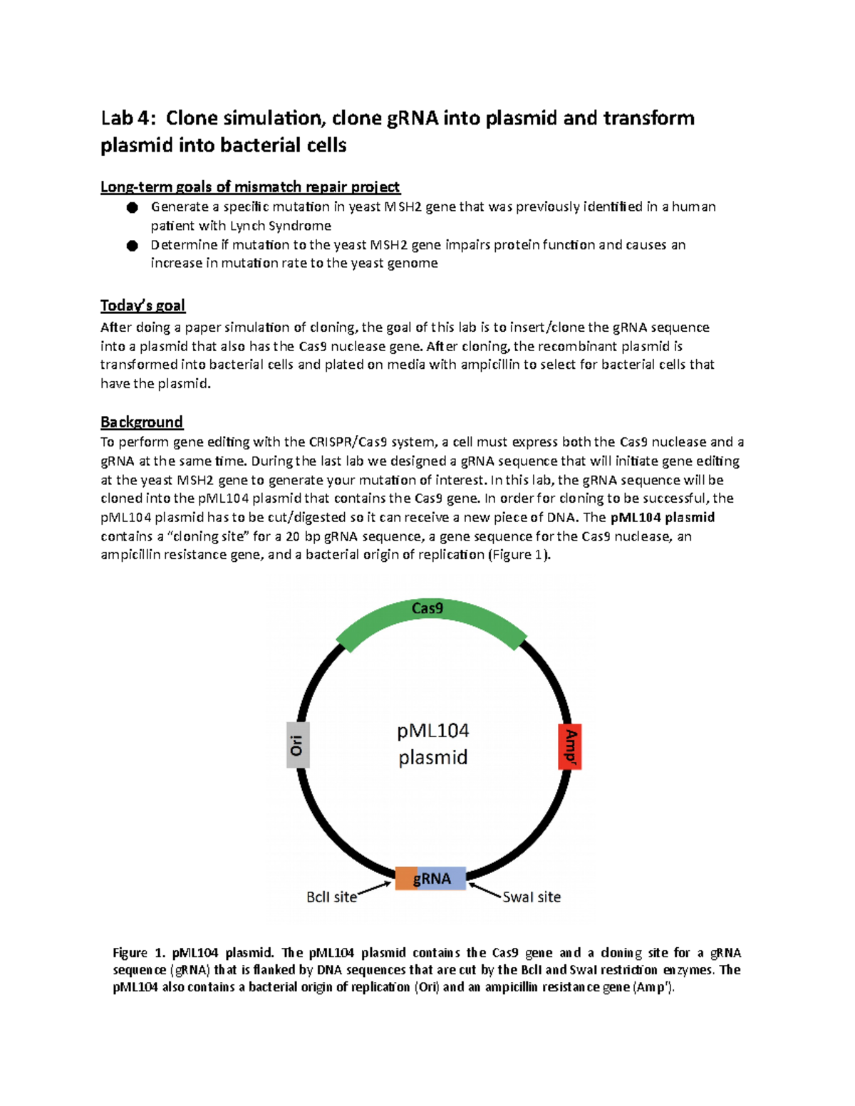 Lab 4. Clone g RNA into plasmid and transformation1 Lab 4 Clone