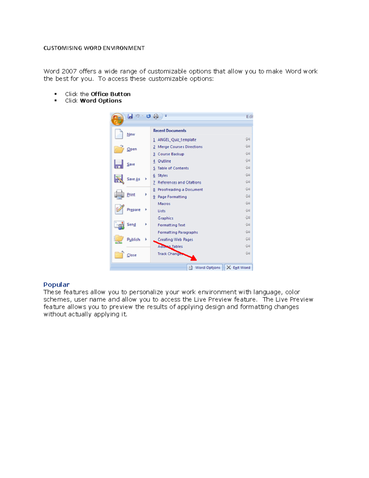 Customising environment - CUSTOMISING WORD ENVIRONMENT Word 2007 offers ...