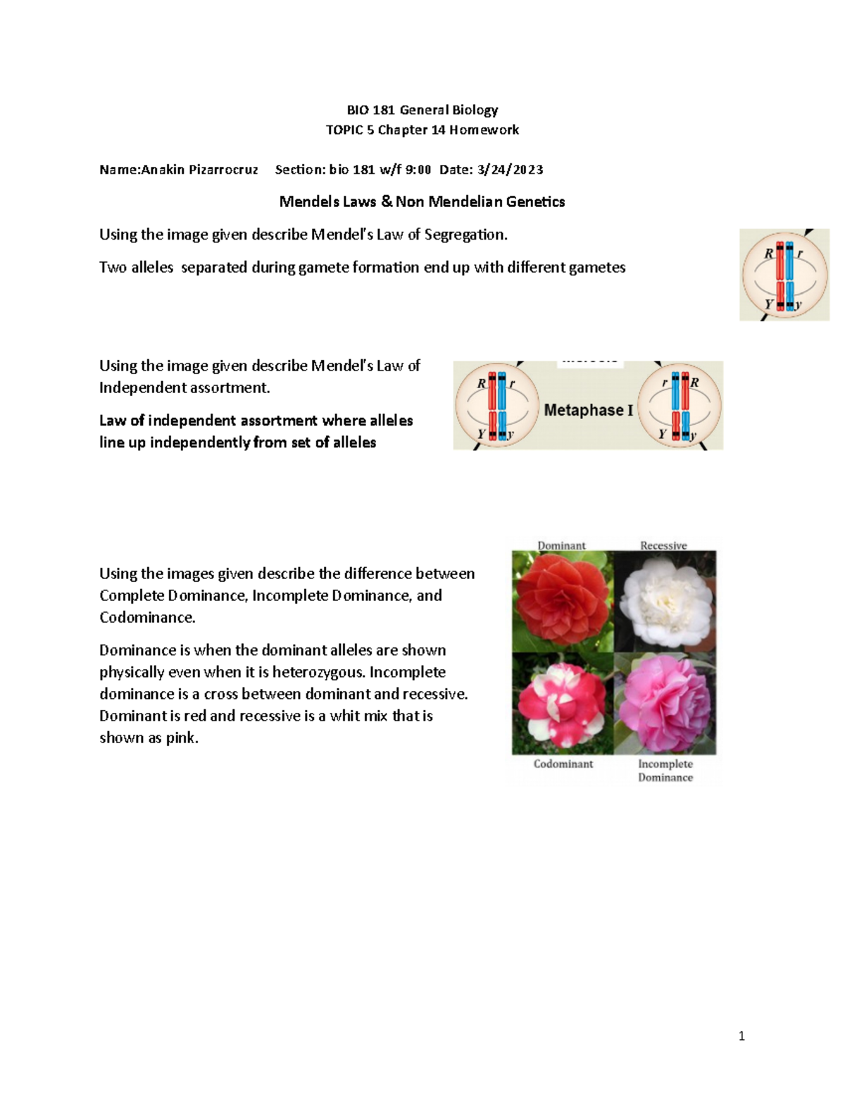 mastering biology chapter 14 homework answers