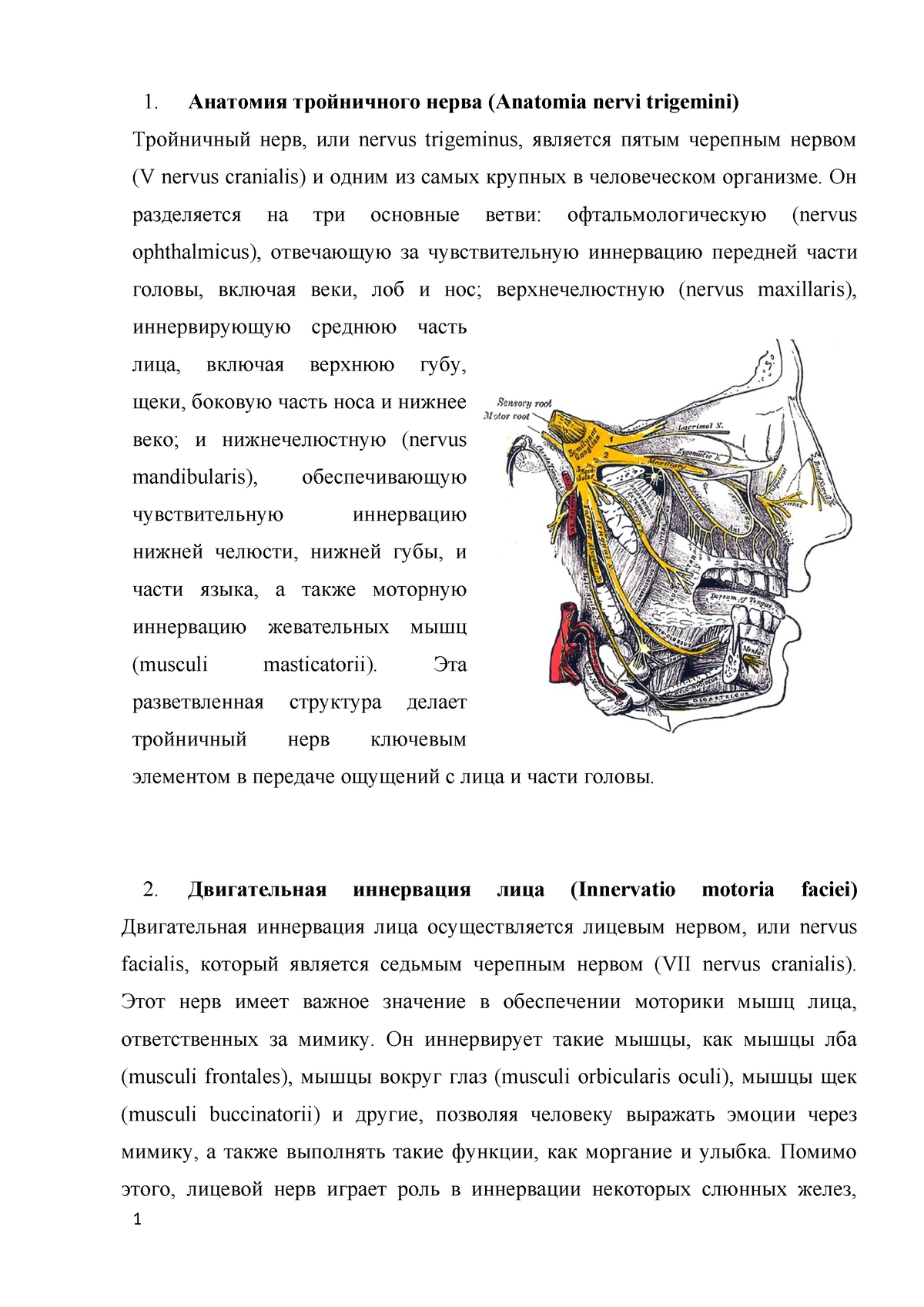 Ответы 46 Медицина СЭМ - test - 1. Анатомия тройничного нерва (Anatomia  nervi trigemini) Тройничный - Studocu