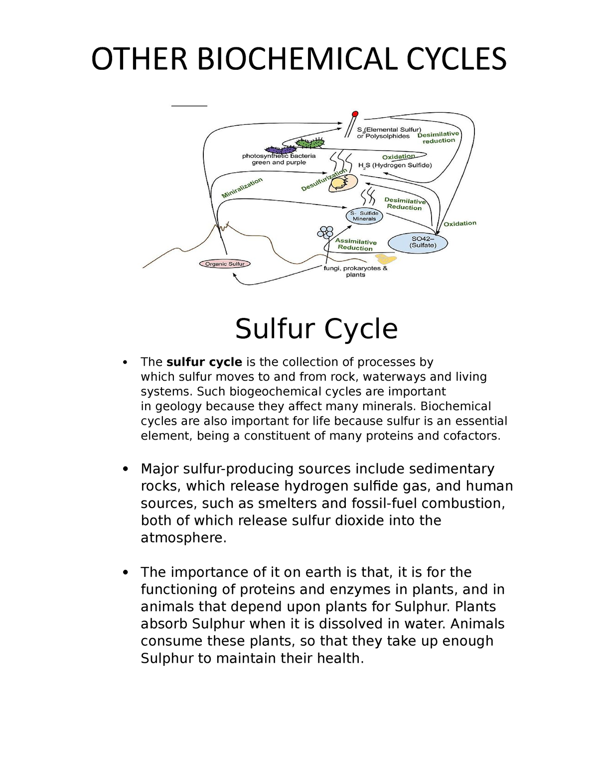 Biochemical Cycles - BioChem Cycle - Sulfur Cycle The Sulfur Cycle Is ...