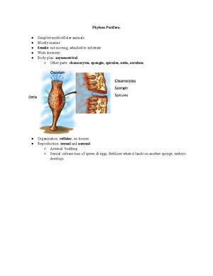 Lab 6 invertebrates - Organisms and Ecosystems lab notes - Sponges ...