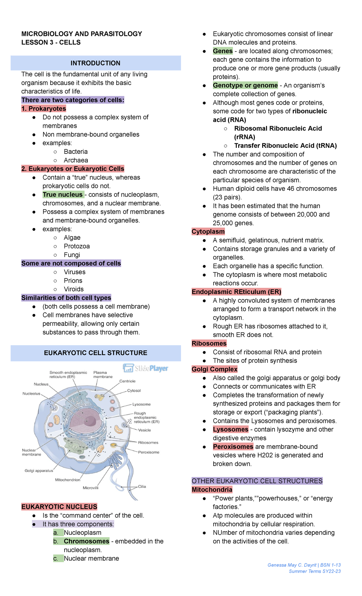 Microbiology AND Parasitology Lesson-3 - Microbiology And Parasitology ...