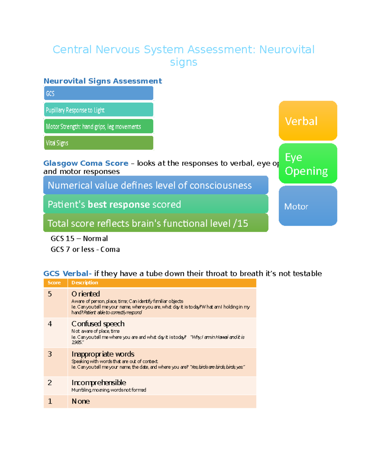 Week 8 Central Nervous System Assessment - Central Nervous System ...