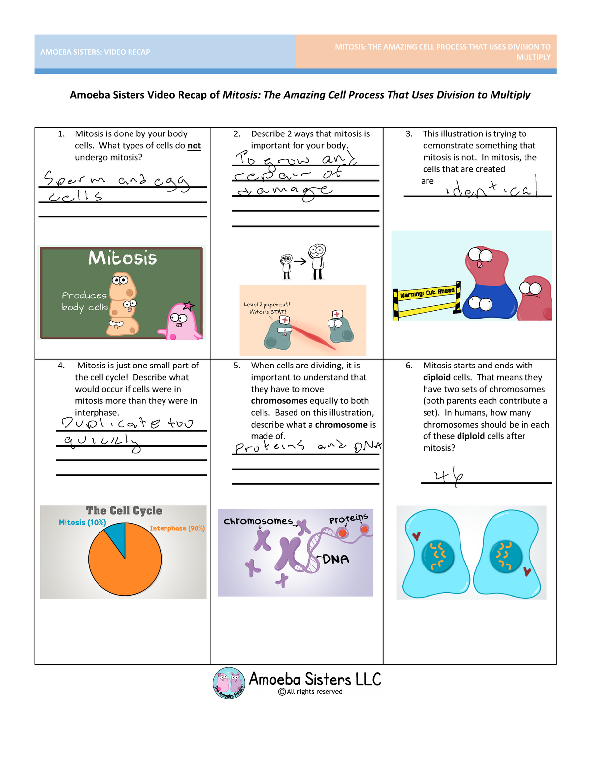 amoeba-sisters-introduction-to-cells-answer-key