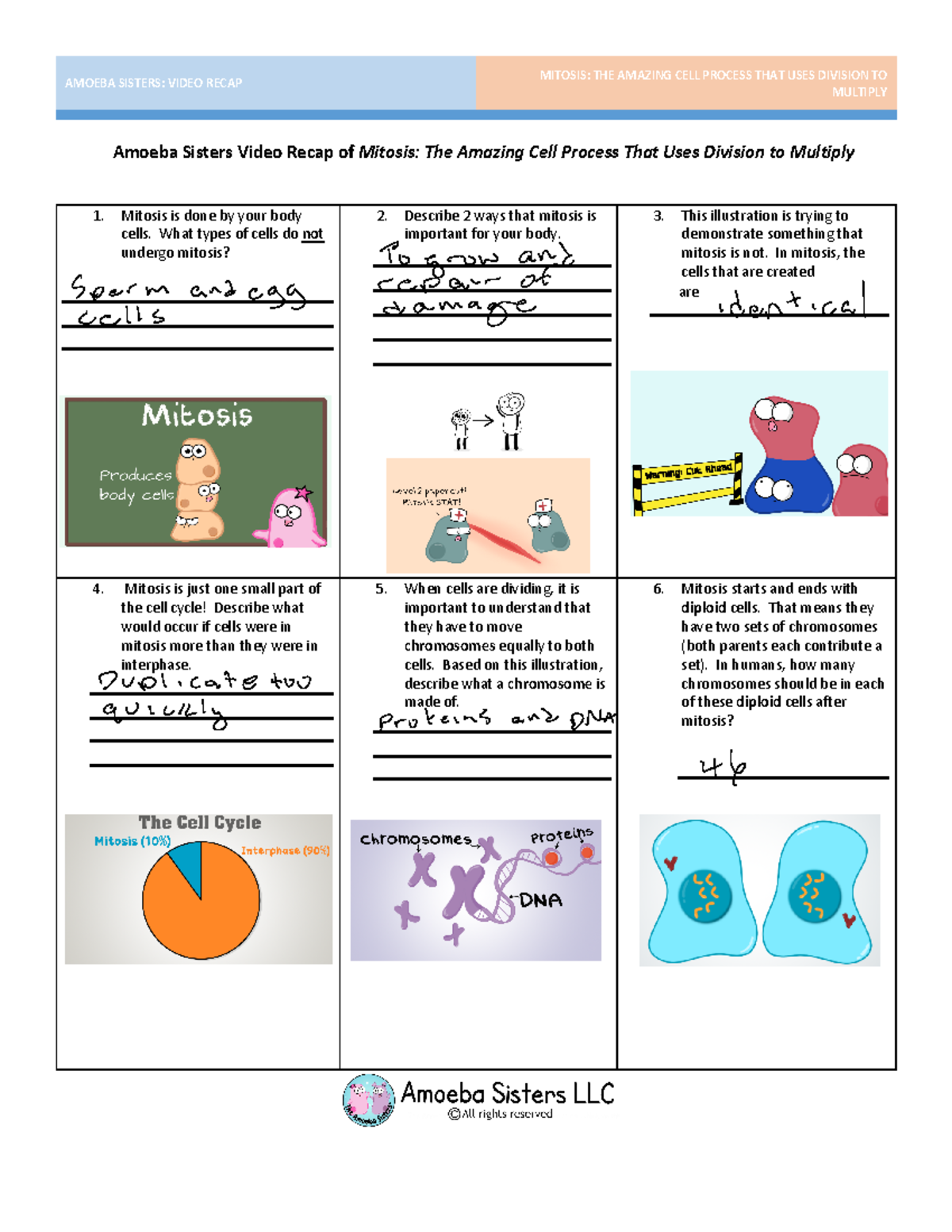 Amoeba Sisters Introduction To Cells Answer Key