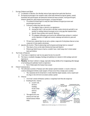 Chapter 5 notes (1 and 2) - Chapter 5 notes (1) Developmental Issues ...