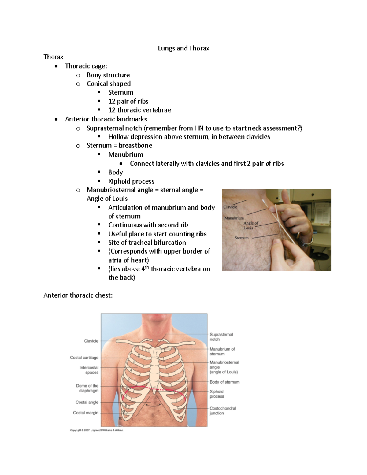 Lungs And Thorax - Lungs And Thorax Thorax Thoracic Cage: O Bony ...