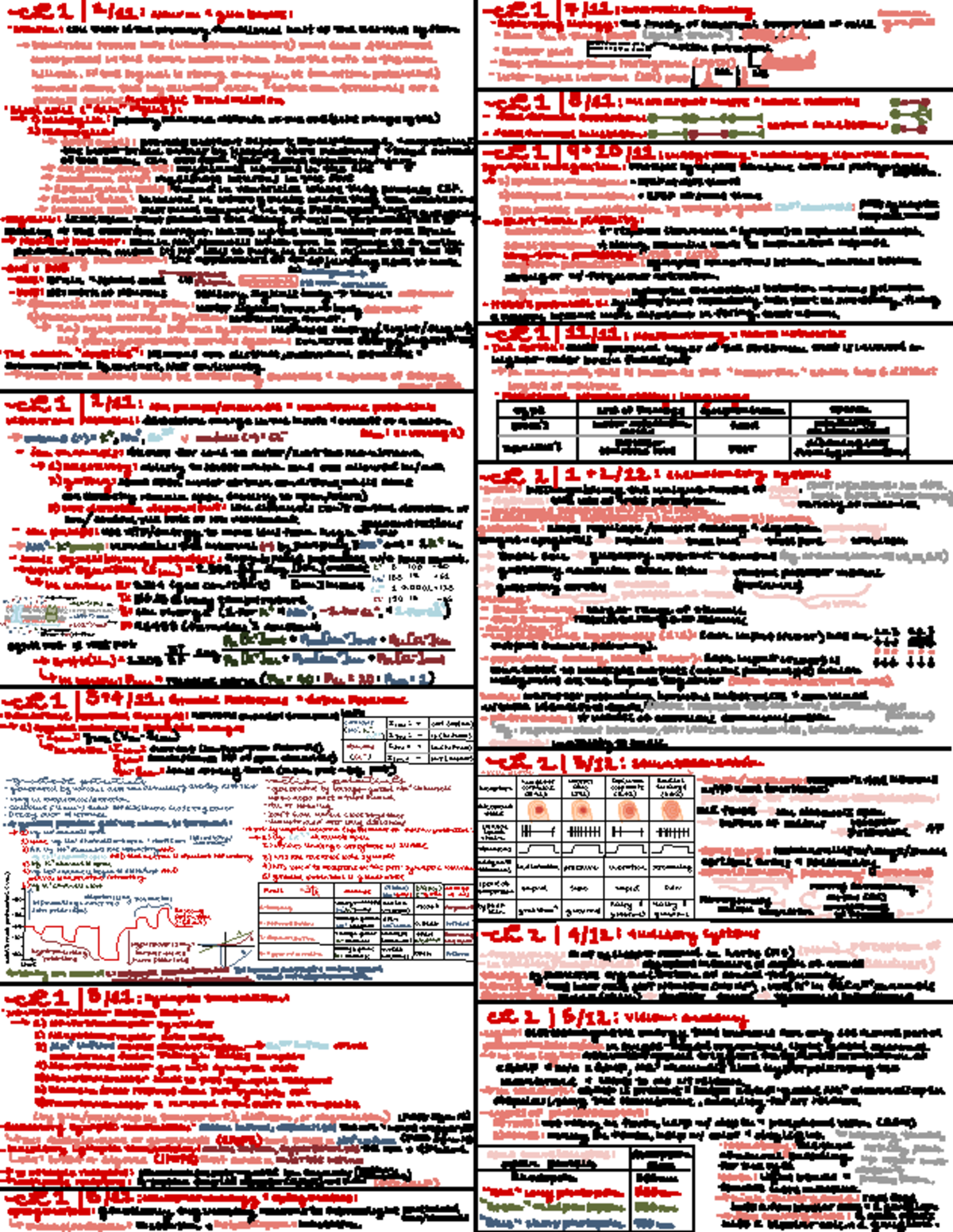 Final cribsheet - ####### · Neuron 1 glia Basics : Neuron : cell that ...