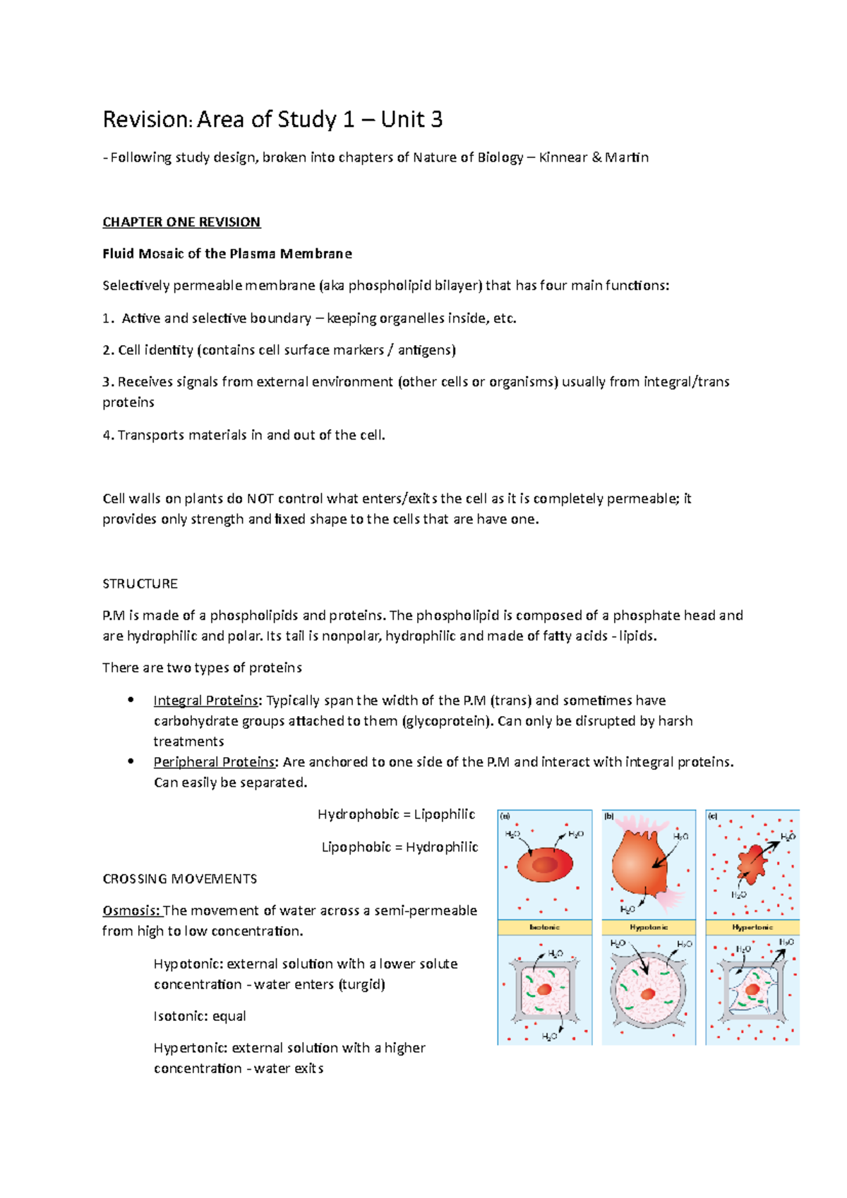 Revision - U3 - unit 3 notes - Revision: Area of Study 1 – Unit 3 ...