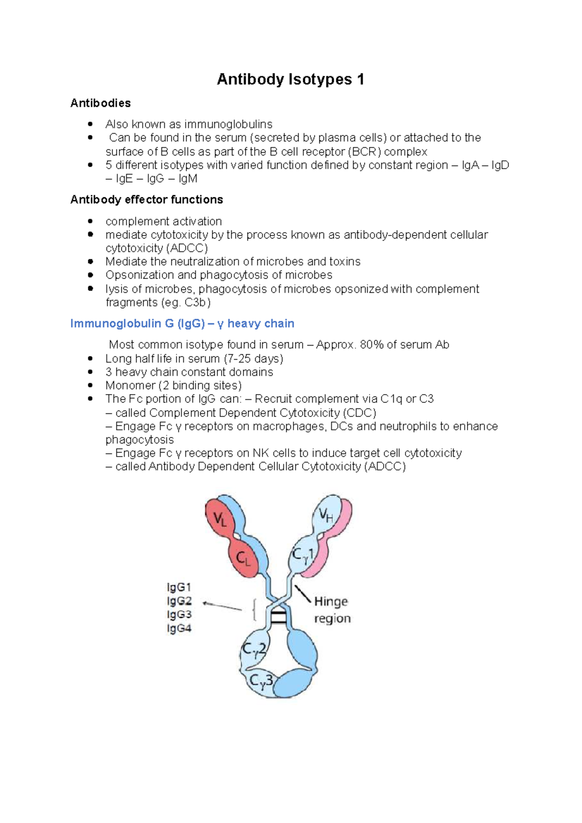 Immunology Antibody Isotypes 1 Antibody Isotypes 1 Antibodies Also
