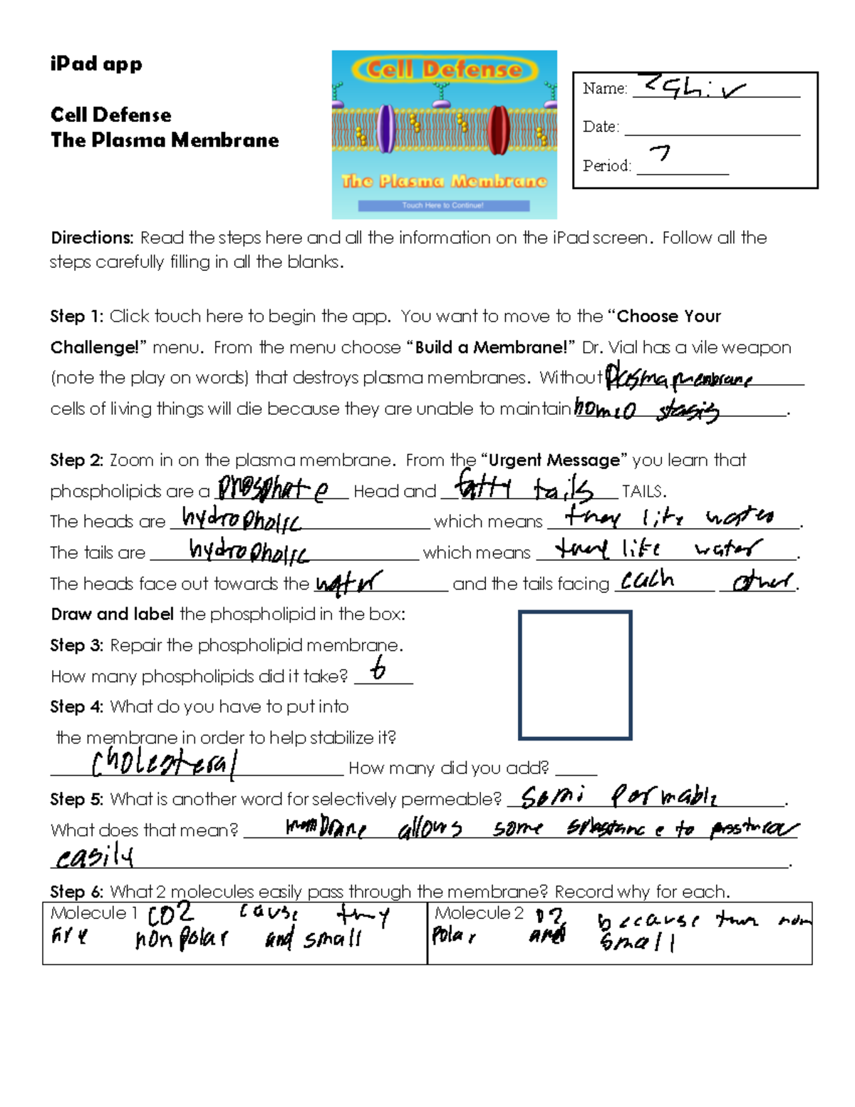 cell-defense-worksheet-ipad-app-cell-defense-the-plasma-membrane