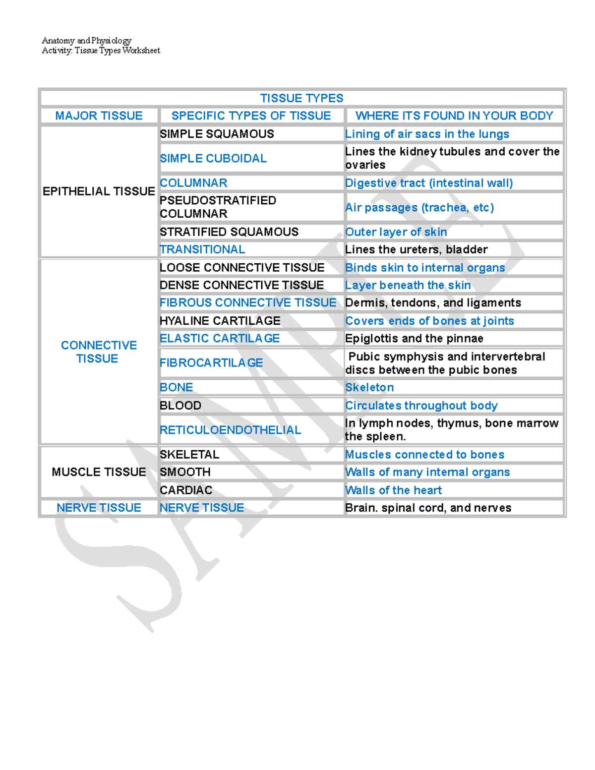 Worksheet tissues chart Anatomy and Physiology Activity Tissue