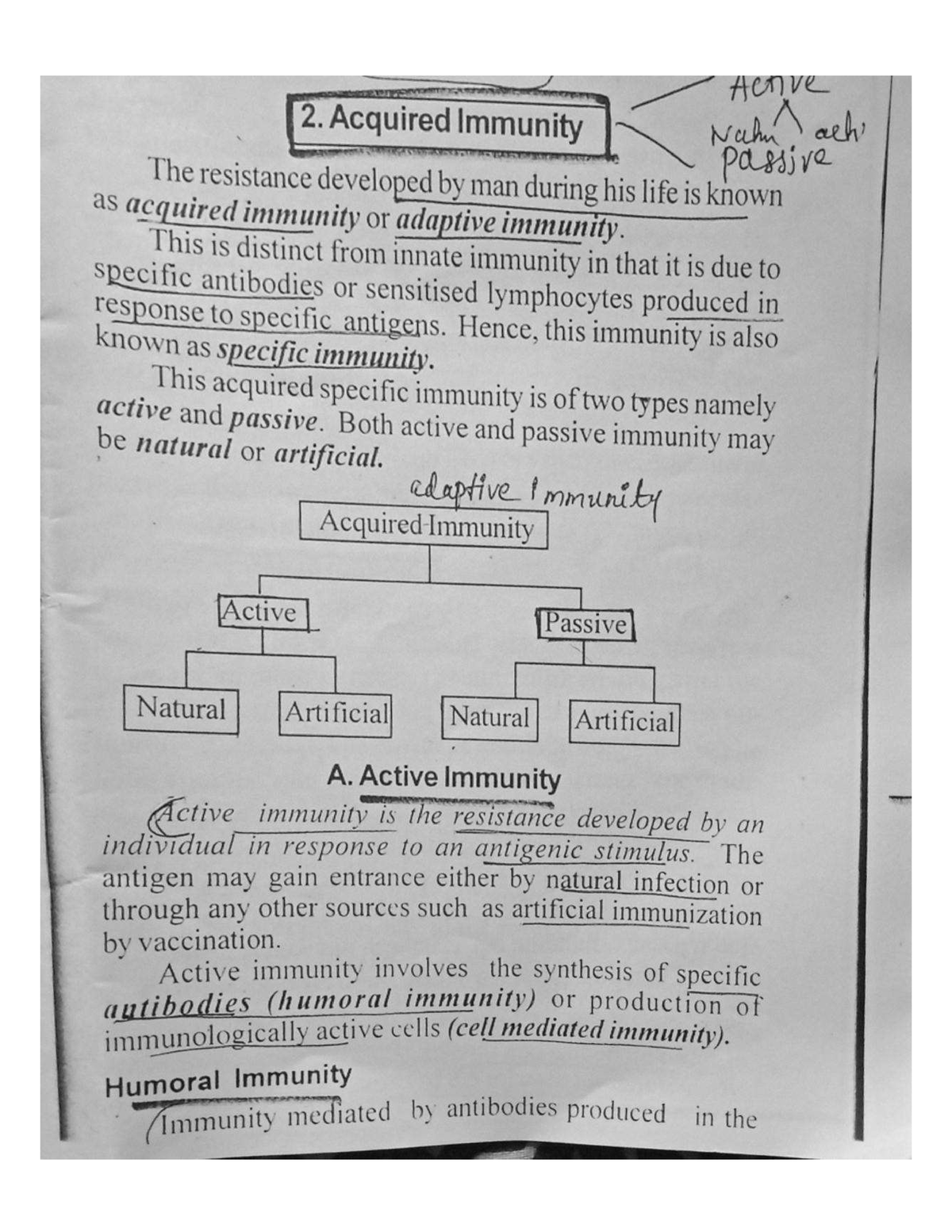 acquired-immunity-it-is-my-lecture-notes-medical-biotechnology