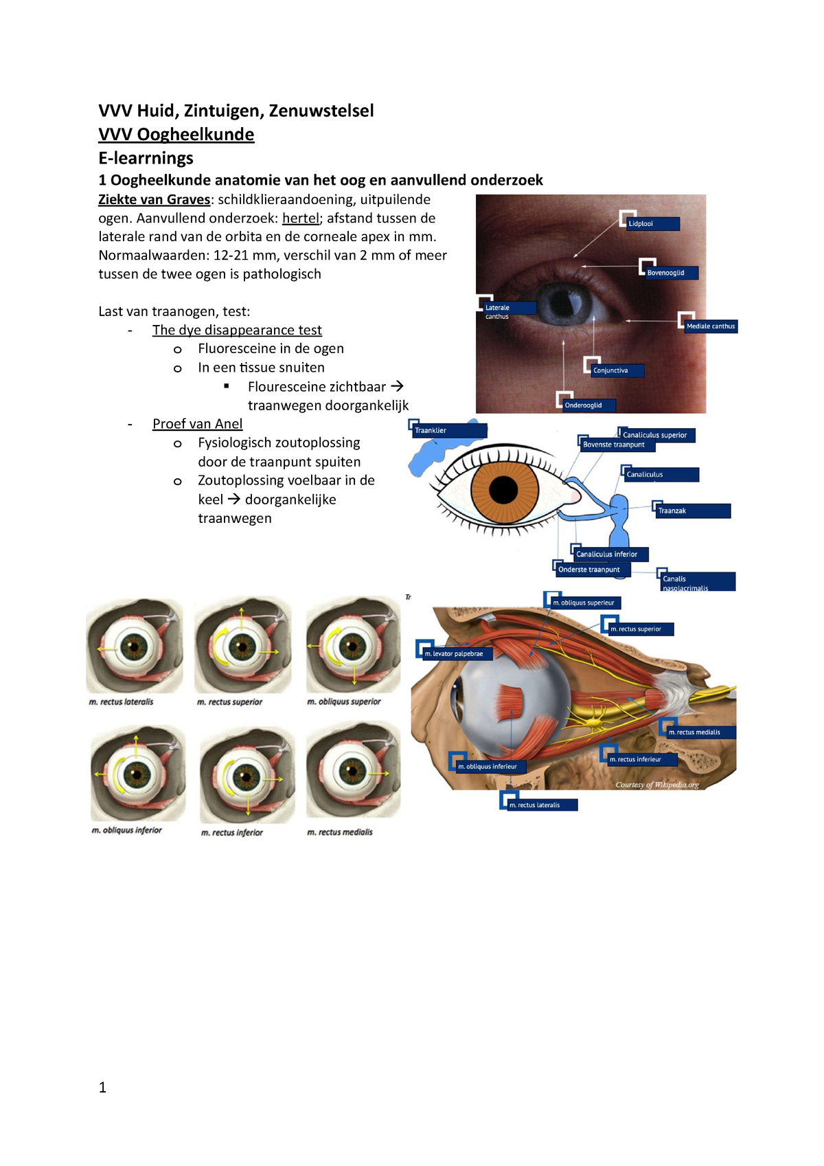 Aantekeningen Vvv Oogheelkunde Studeersnel