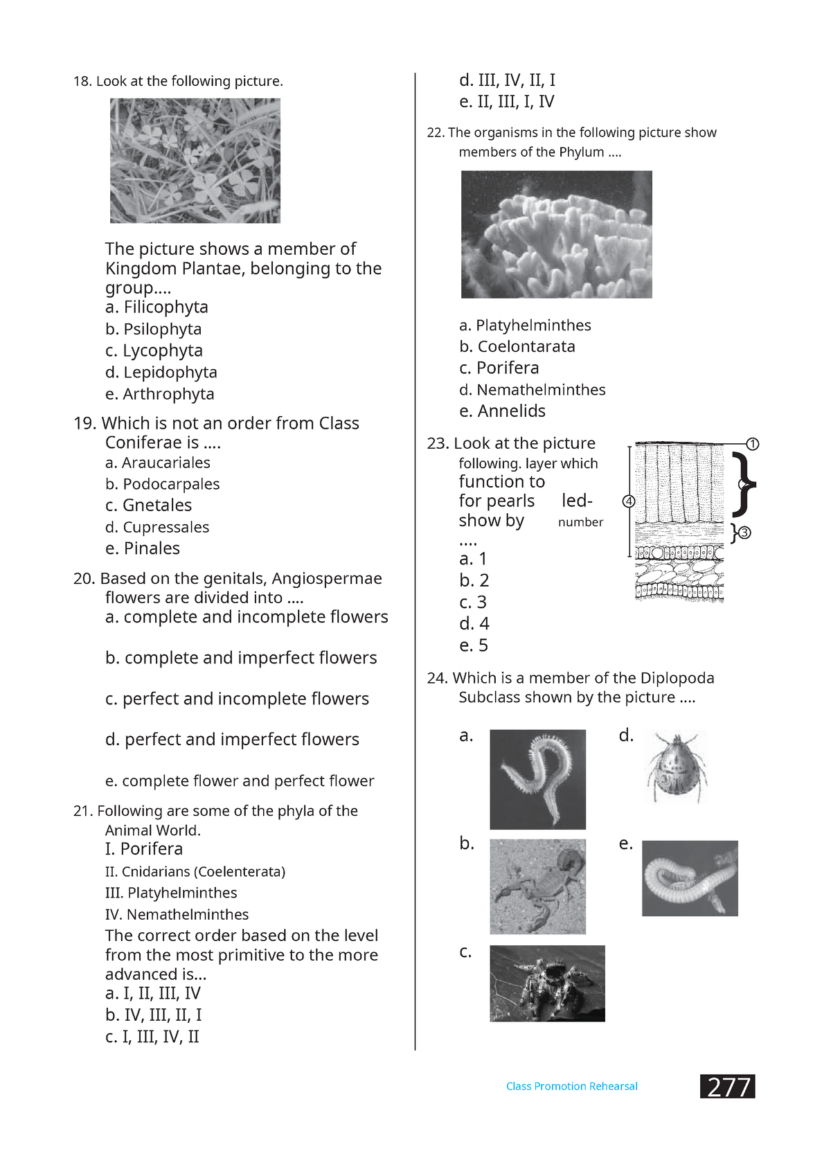 Biology Class - 18. Look at the following picture. d. III, IV, II, I e ...