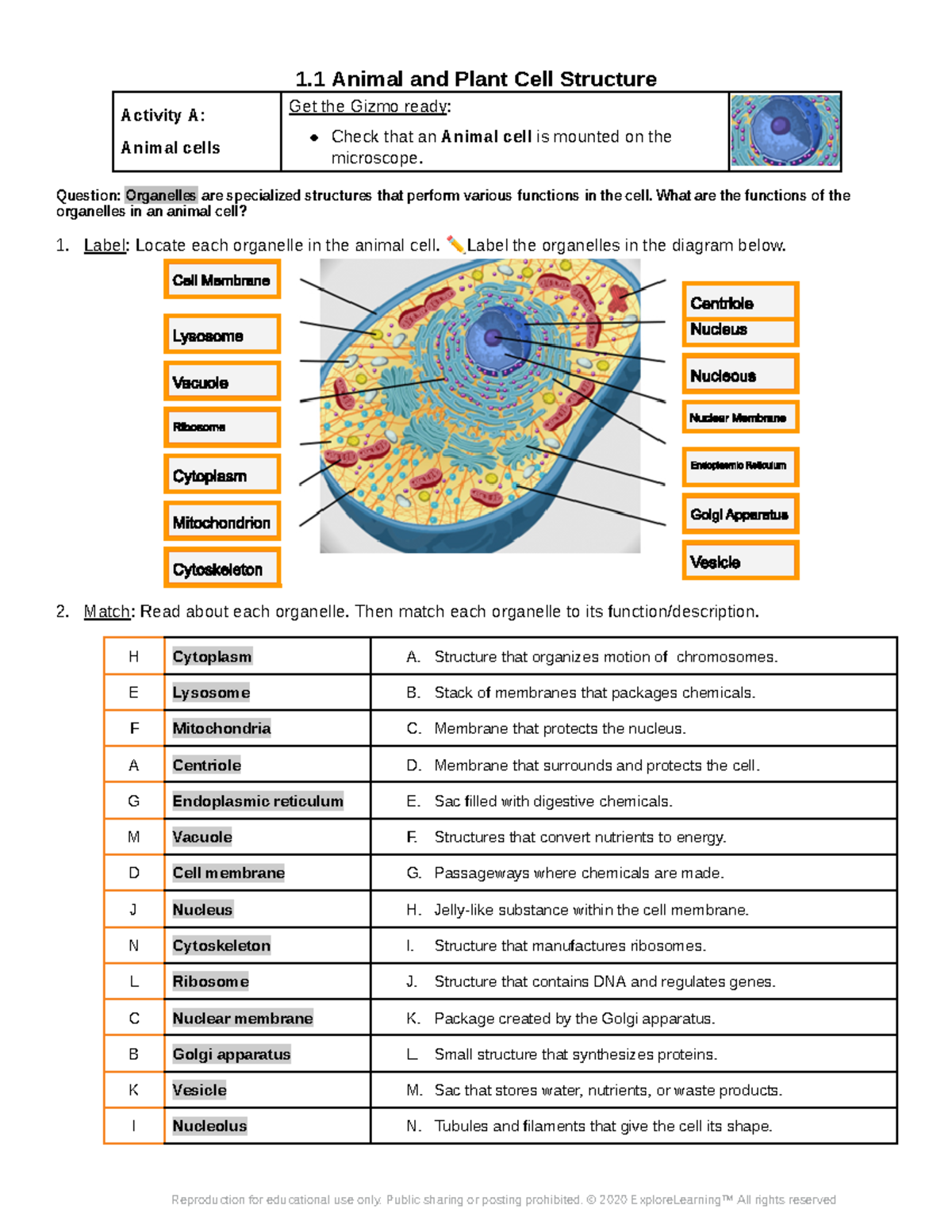 Animal&Plant Cell Gizmo Answers - 1 Animal and Plant Cell Structure ...