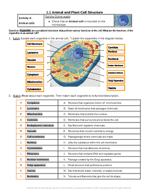 Biology - Grade: 10 - High School - Canada - Studocu