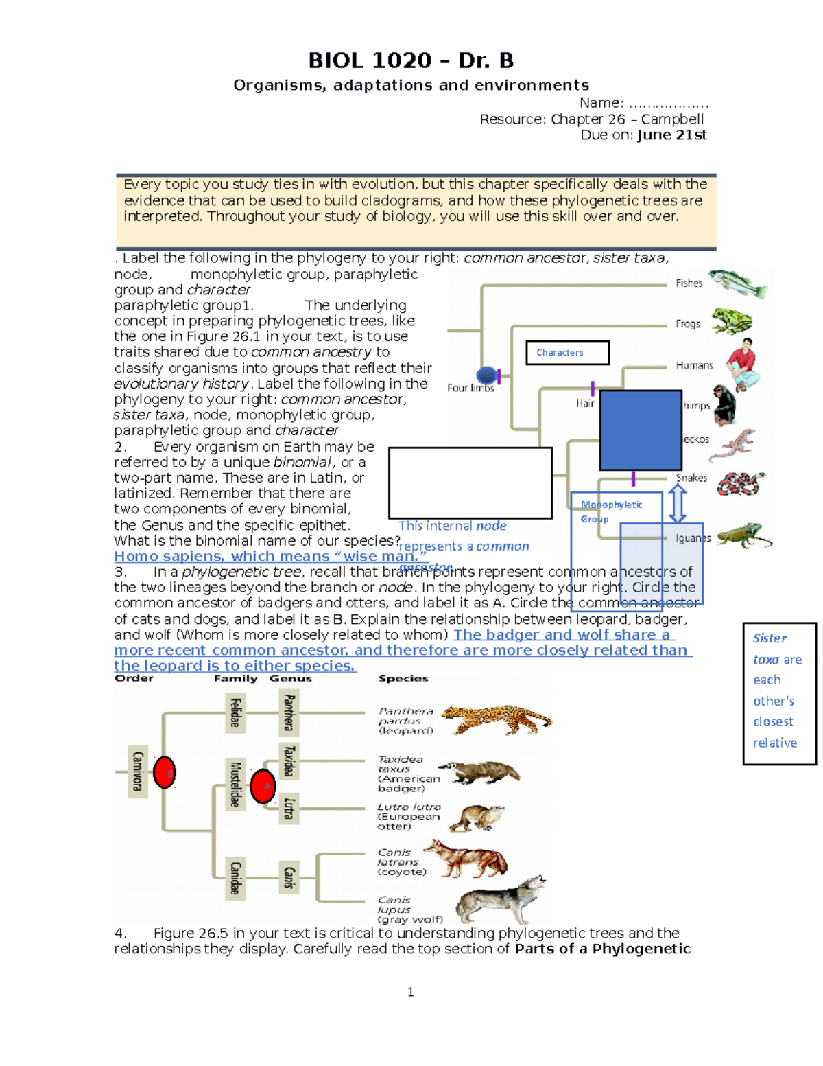 9. Homework Phylogeny CH 26 - Organisms, adaptations and environments ...