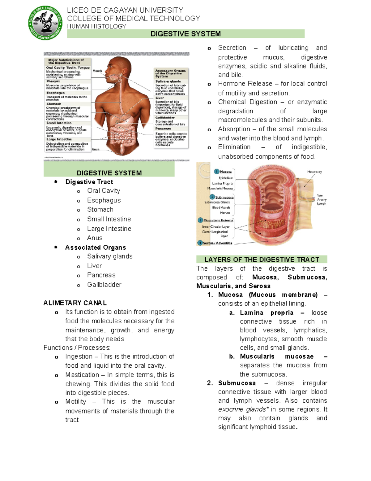 Digestive System - NOTES - DIGESTIVE SYSTEM Digestive Tract o Oral ...