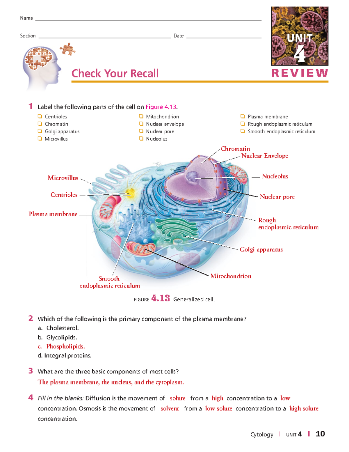 Unit 4 cytology - Lab Assignment - Name Section Date UNIT 4 REVIEW ...