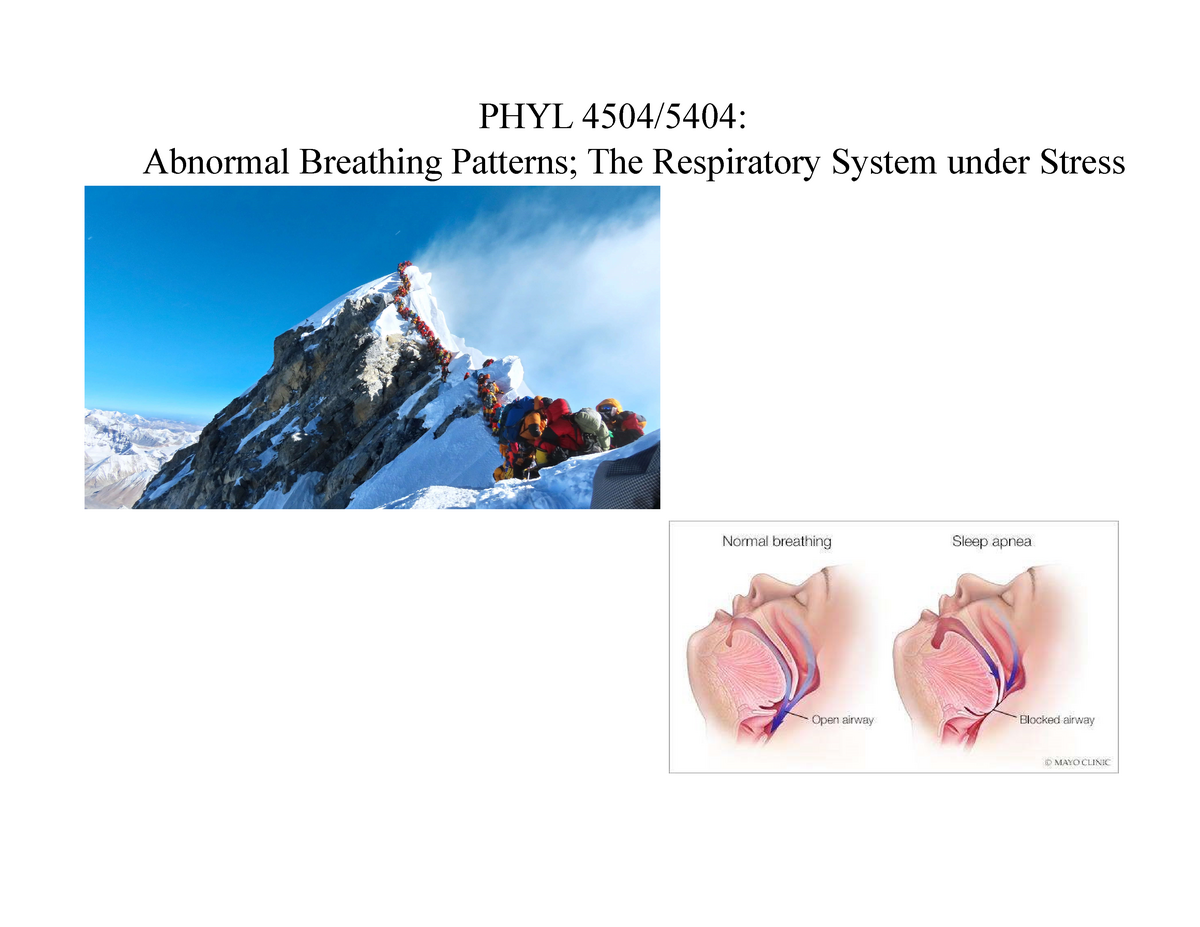 A thorough Discussion about Abnormal Breathing pattern – Platform
