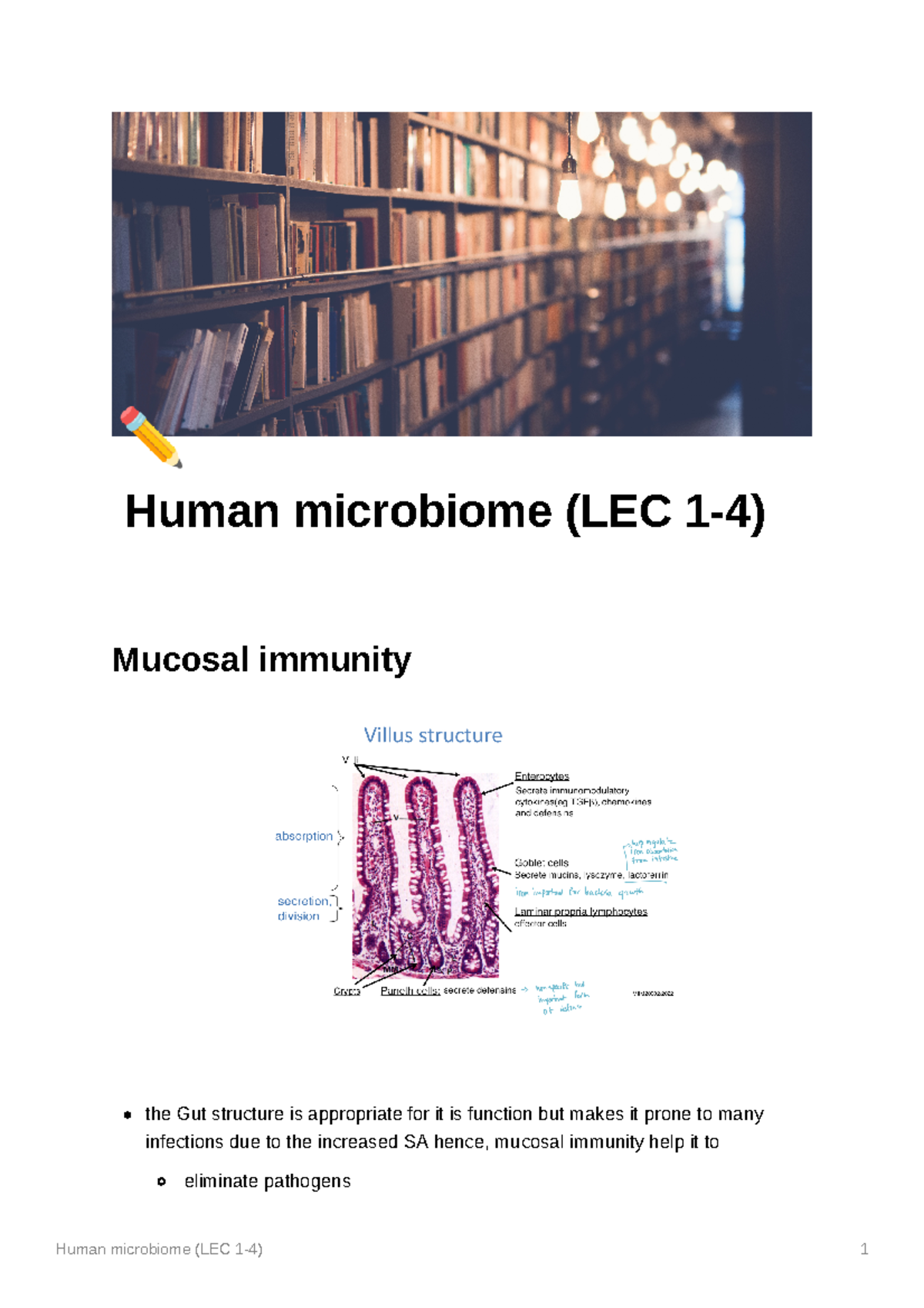 Human microbiome (LEC 1-4) - Human microbiome (LEC 1-4) Mucosal ...