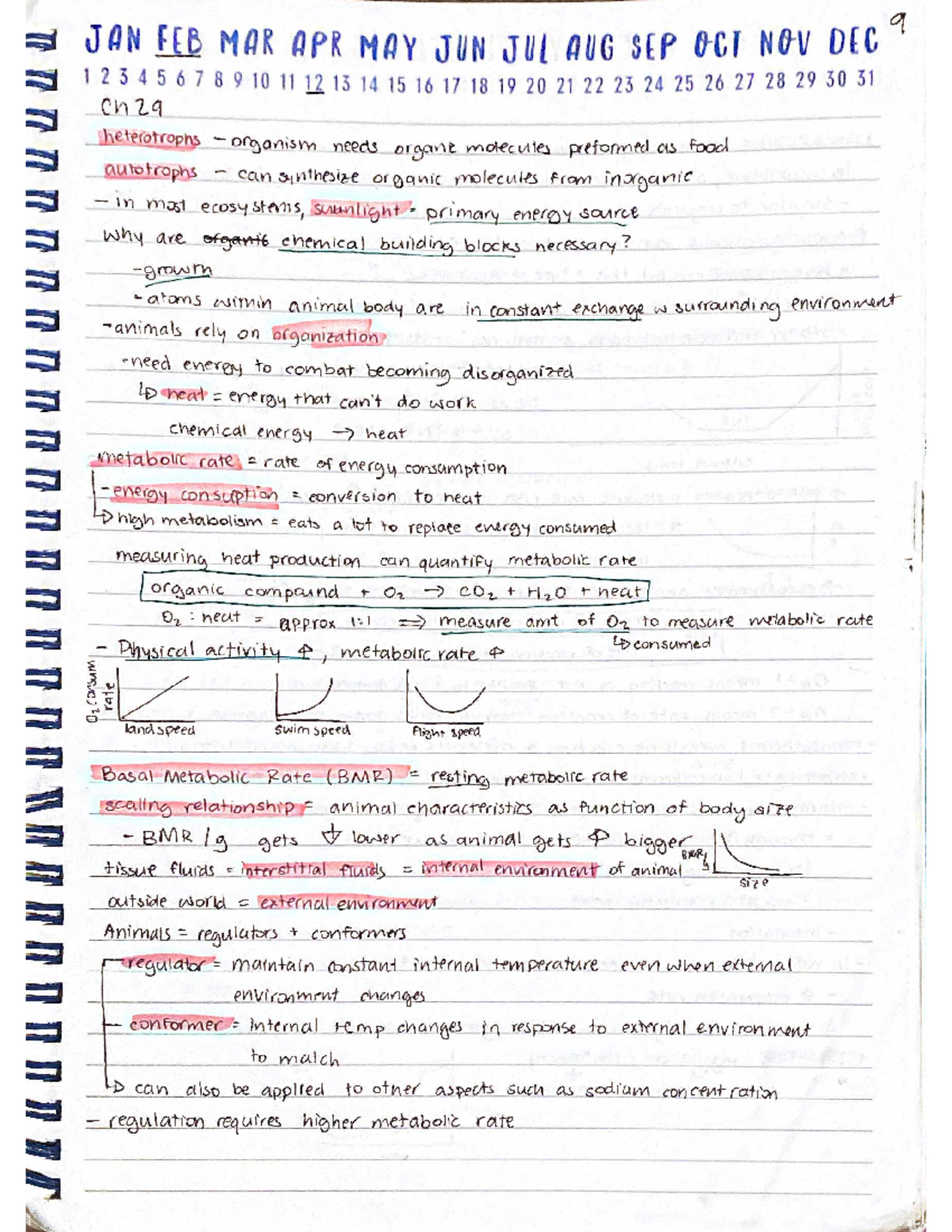 Ch29 - Fundamentals of Animal Function - 111 - Studocu