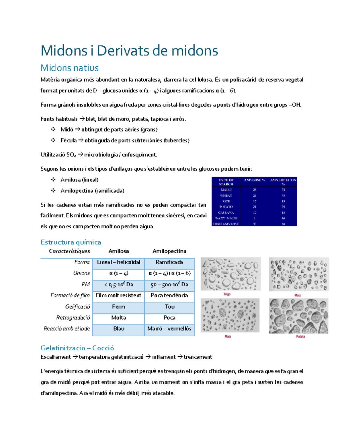 Midons i Derivats de midons - Midons i Derivats de midons Midons natius ...