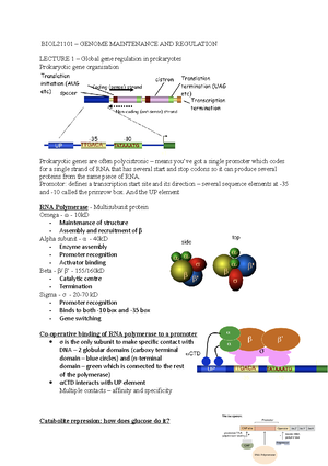 BIOL21101 Q4 Model answer 2023/2024 - Describe the four different types ...
