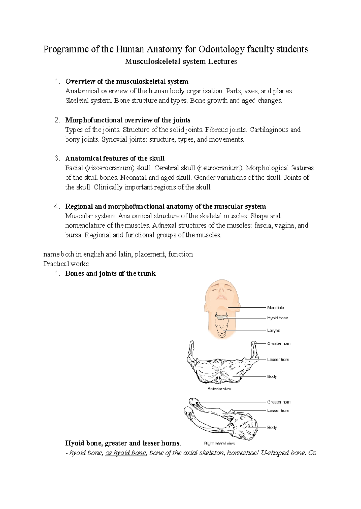 H.A things to know bones - Programme of the Human Anatomy for ...