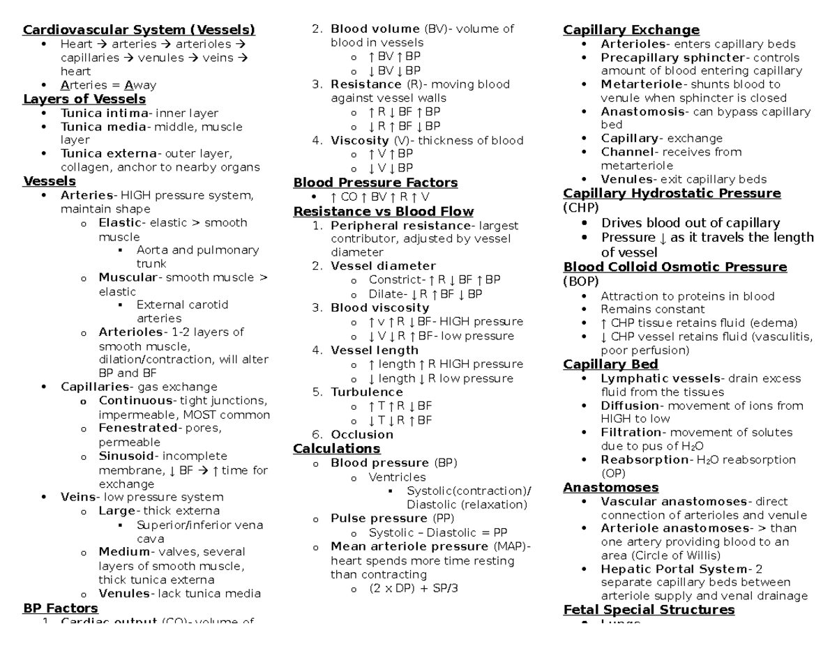 Unit 4 Cardiovascular System- Vessels Class Notes - Cardiovascular ...