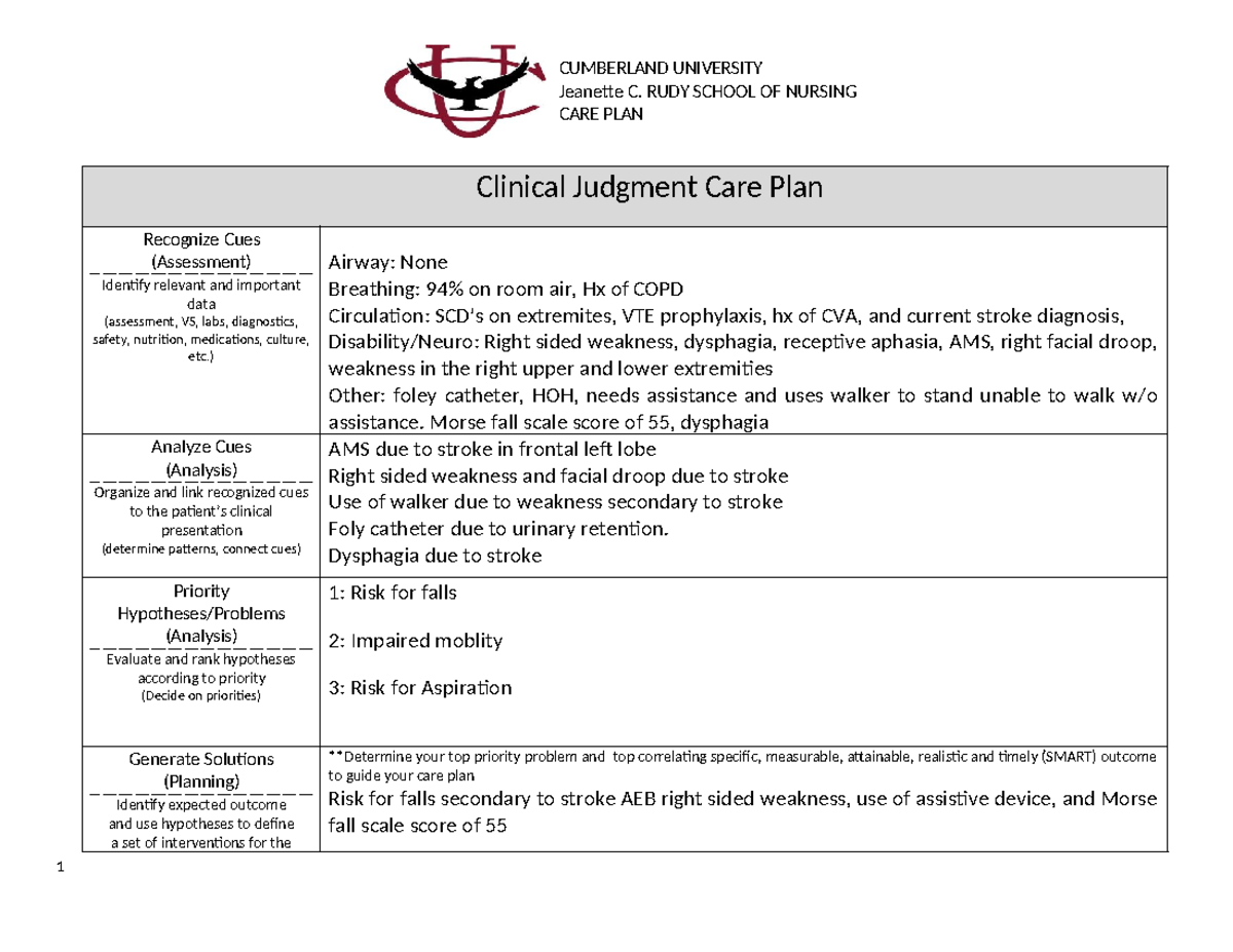 Care Plan Update 3 17 24 - care plan example - CUMBERLAND UNIVERSITY ...