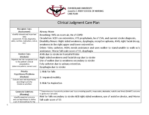 Care plan 310 - care plan example - Jeanette C. RUDY SCHOOL OF NURSING ...