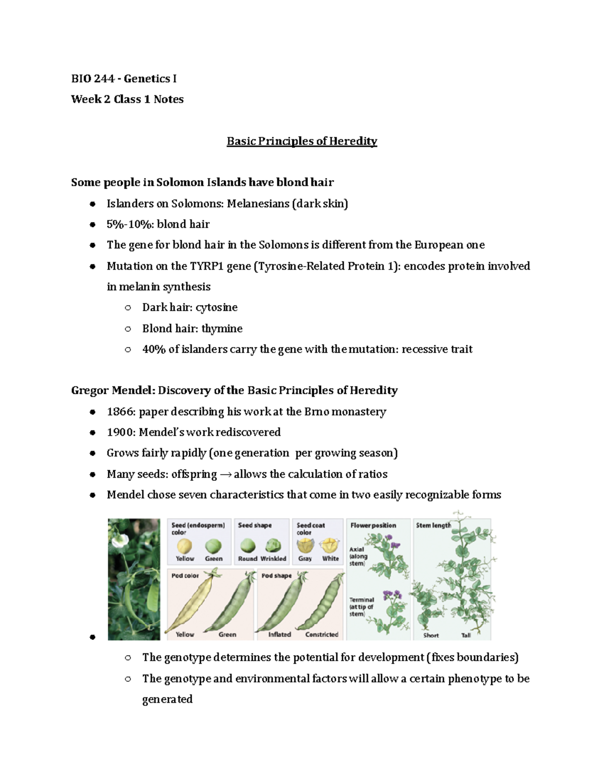 BIO 244 Week 2 Class 1 Notes Summer 2021 - BIO 244 - Genetics I Week 2 ...