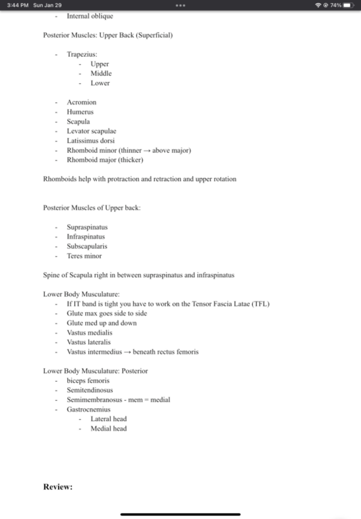 Exercise Science Notes - Kinesiology Anatomy - EX 100 - Studocu