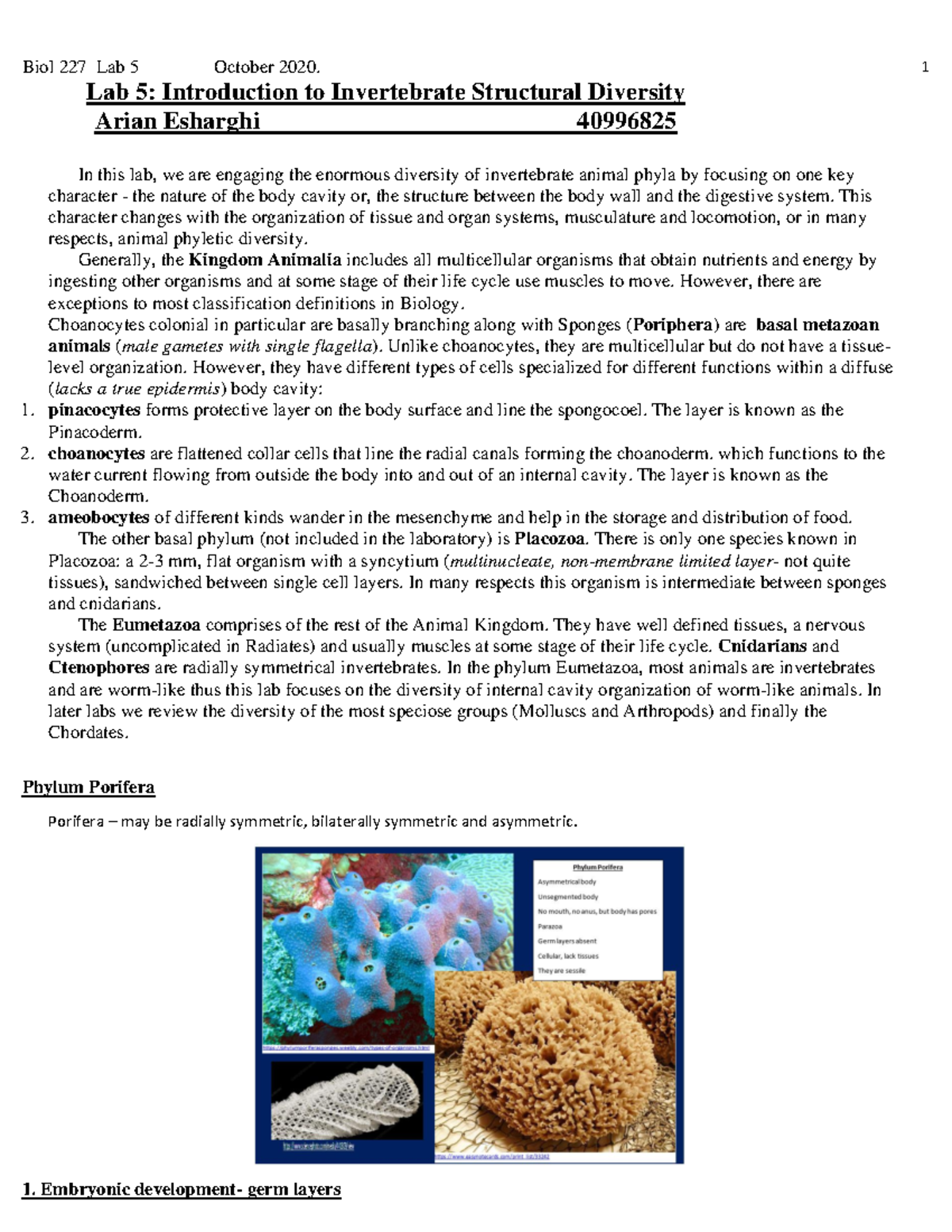 Lab5Biol227F2020Final Oct 13 Student View Oct - Lab 5: Introduction to ...
