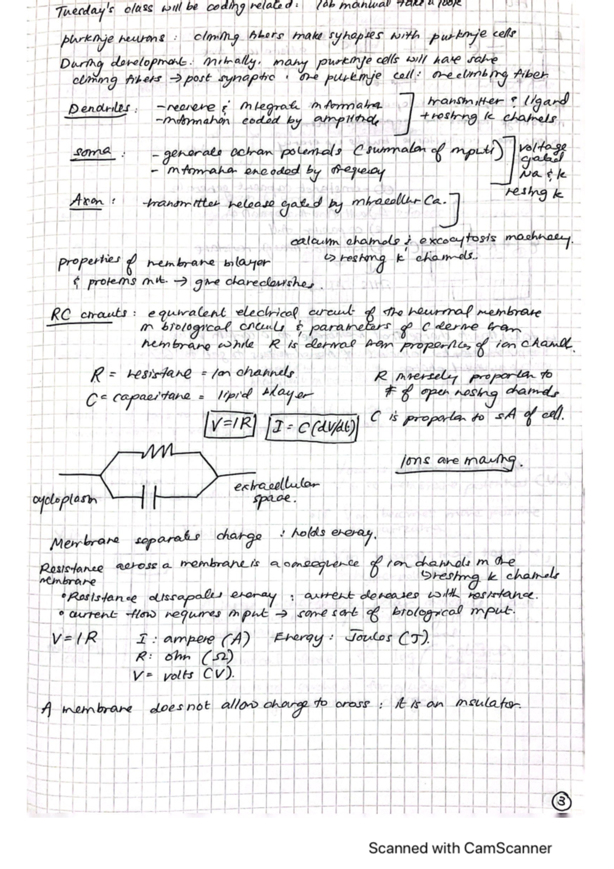 NEUROSCIENCE 301 NOTES - NEUSCI 301 - Studocu