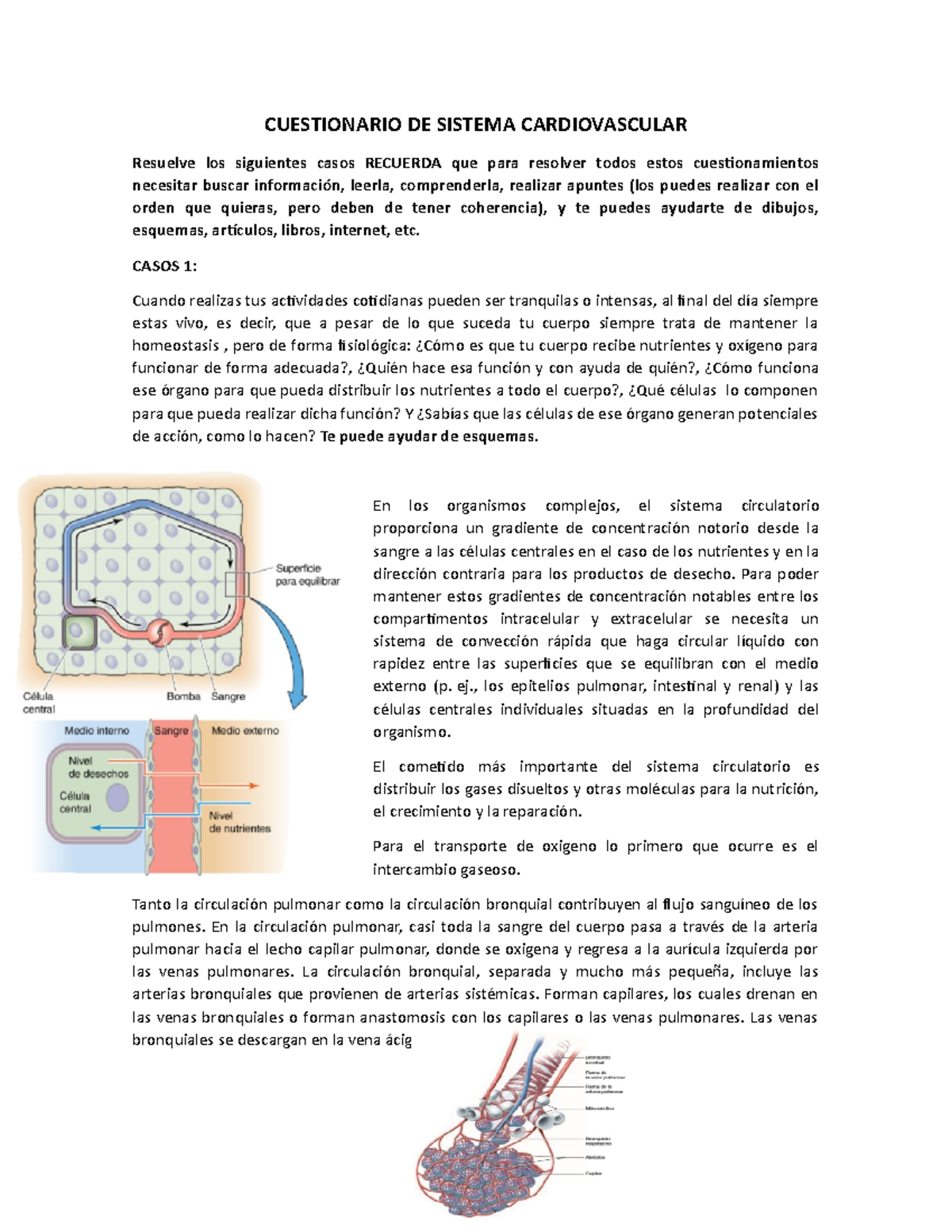 Sistema Cardiovascular Actividad 1 - CUESTIONARIO DE SISTEMA ...