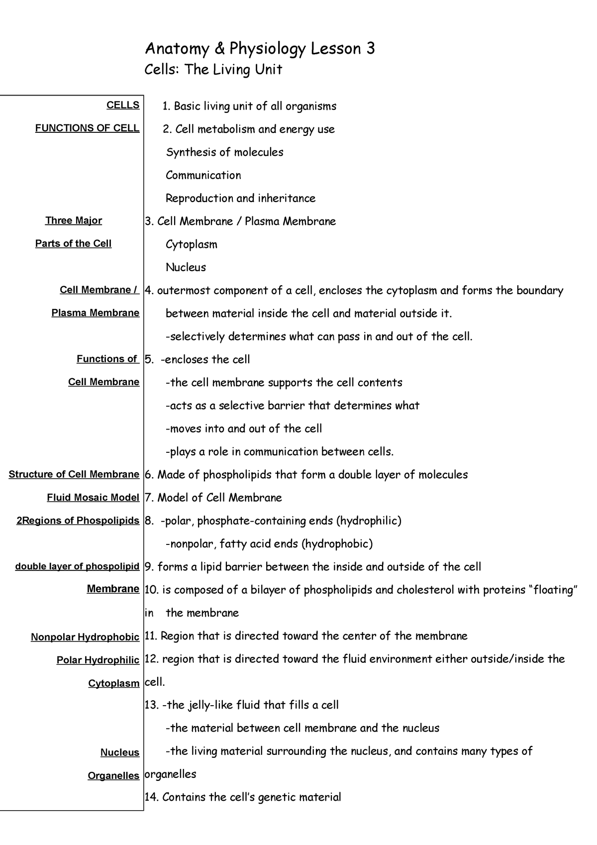 anatomy-and-physiology-anatomy-physiology-lesson-3-cells-the