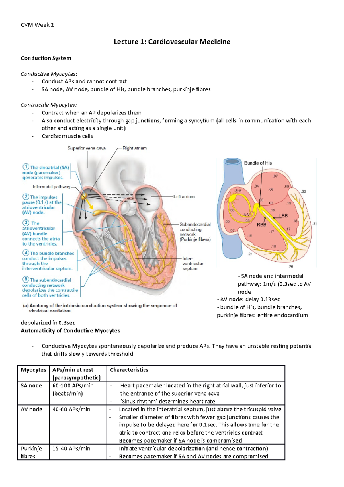 CVM-Week-2 - CVM Week 2 Lecture 1: Cardiovascular Medicine Conduction ...