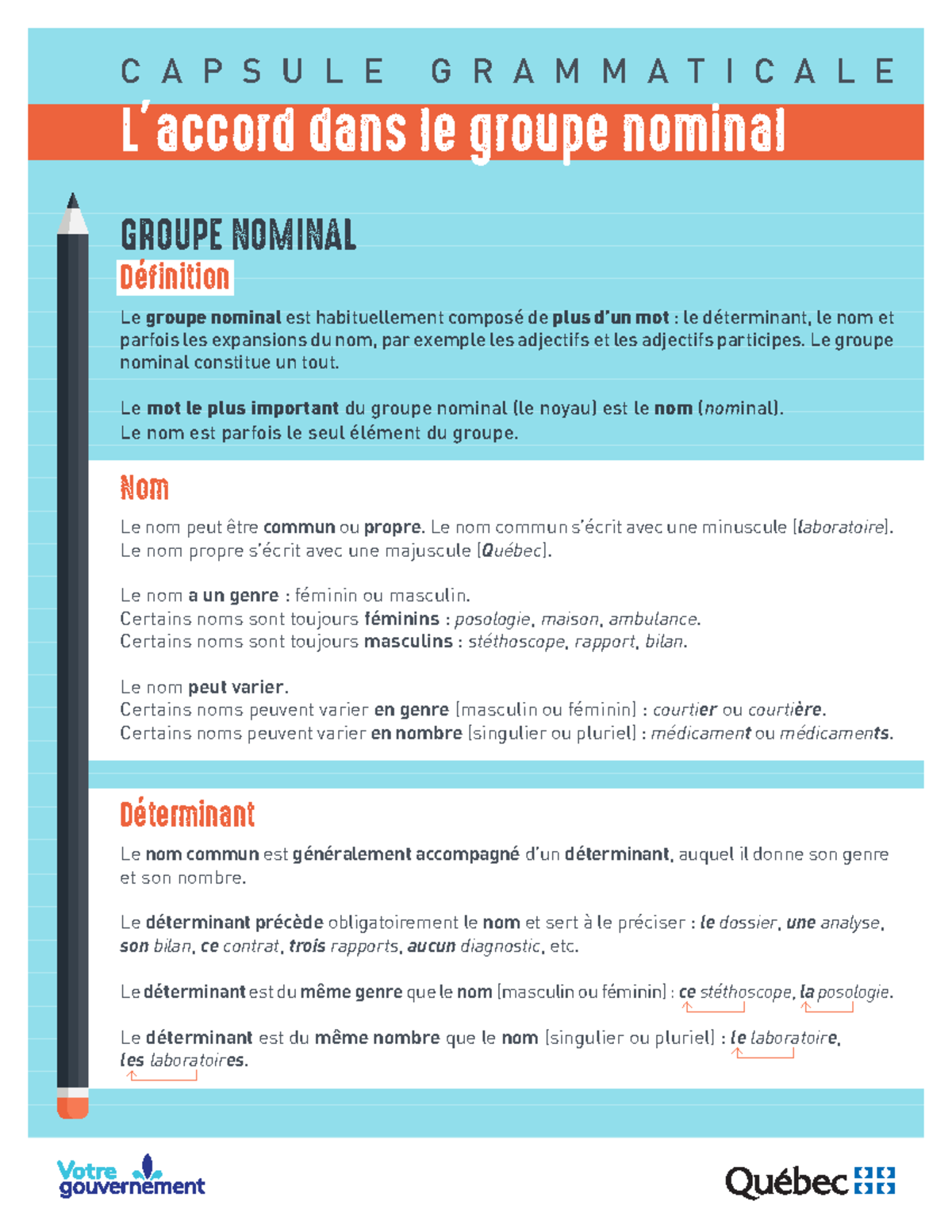 capsule-grammaticale-accord-groupe-nominal-c-a-p-s-u-l-e-g-r-a-m-m-a