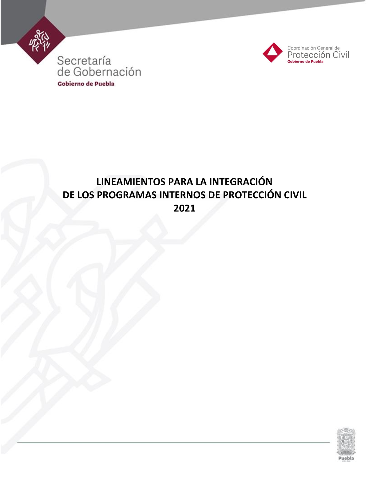 Lineamientos Para Elaboracion De Programas Internos - LINEAMIENTOS PARA ...