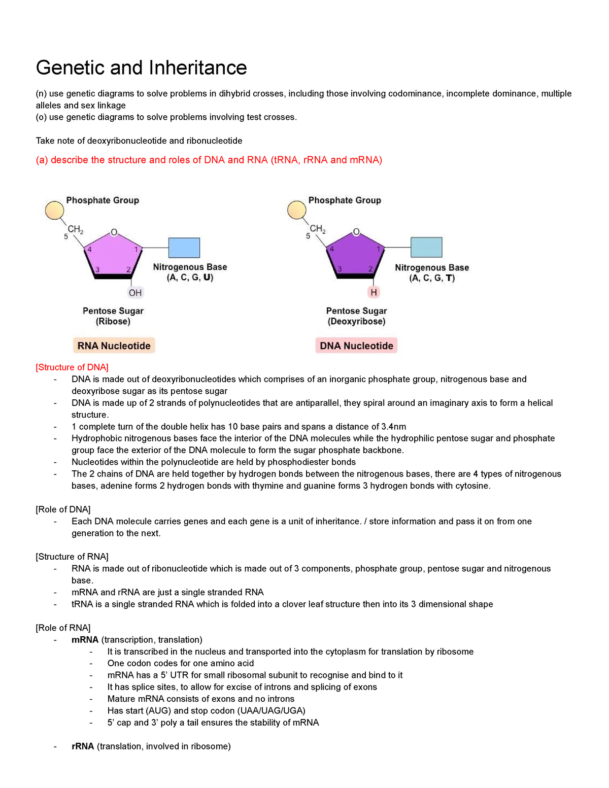 essay about genetic inheritance