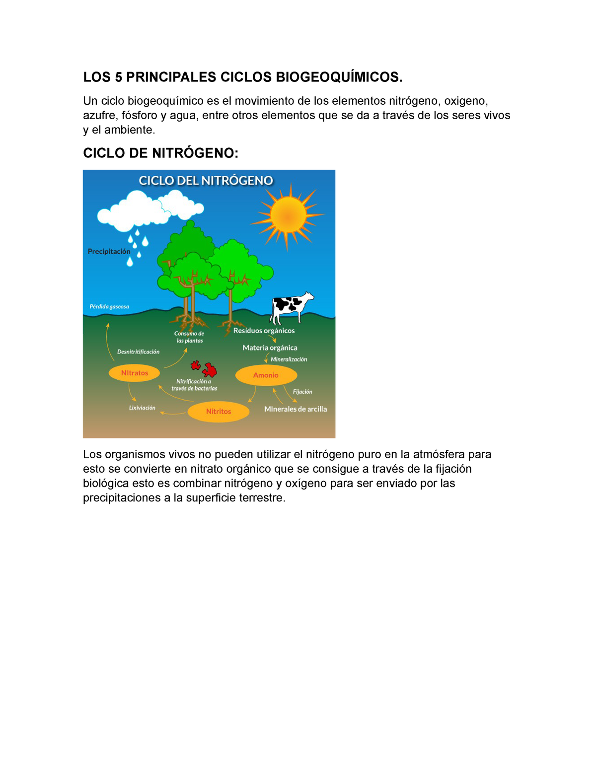 Ciclos Biogeoquimicos - LOS 5 PRINCIPALES CICLOS BIOGEOQUÍMICOS. Un ...