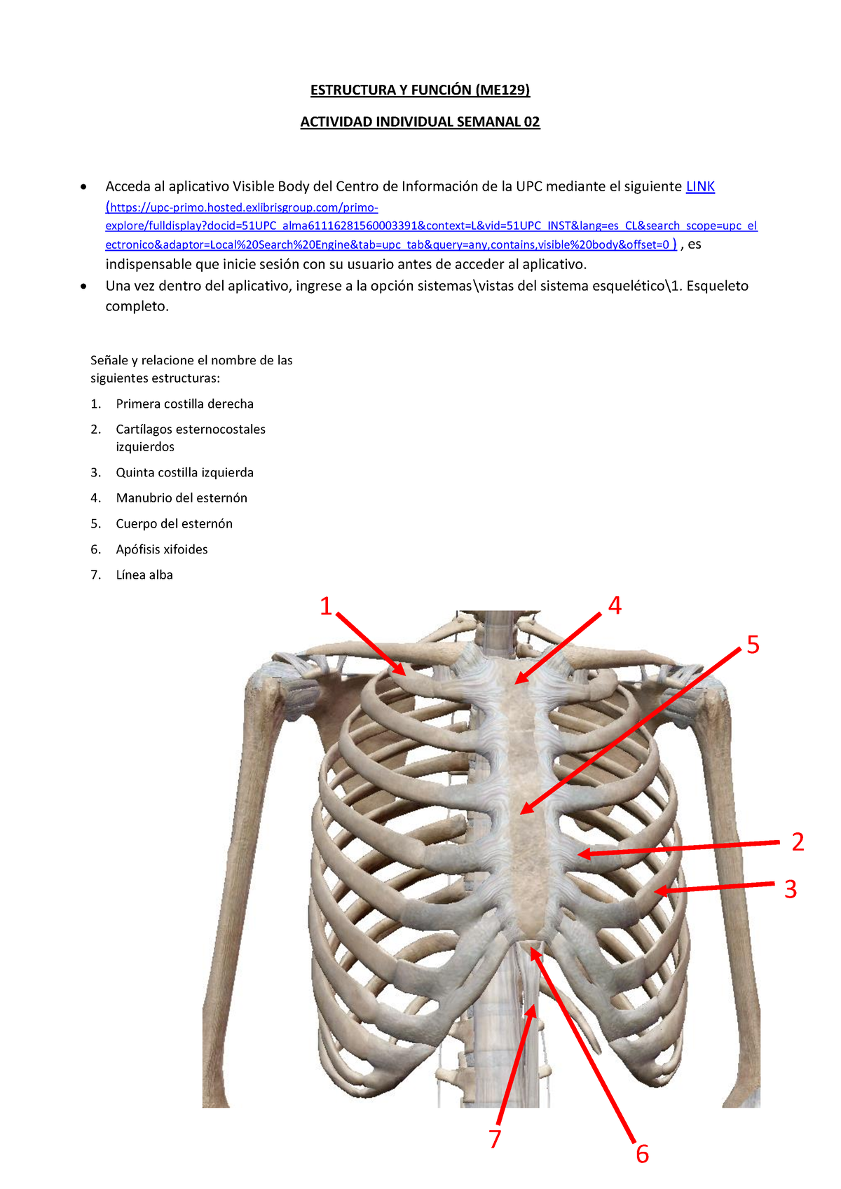 202100 ME129 Ey F Tarea Sem02.pdf Diego Haro - ESTRUCTURA Y FUNCIÓN ...