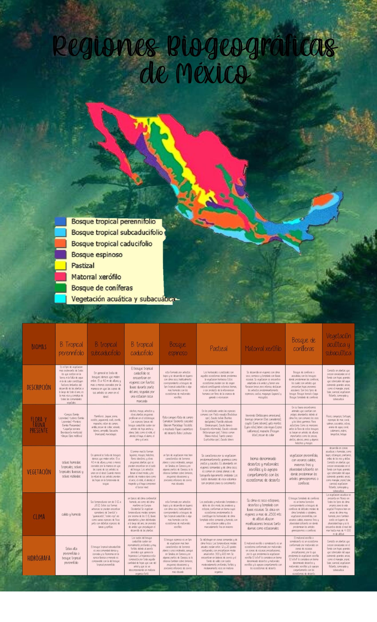 Biomas 2 - regiones biogeograficas de México - Geografí­a - Studocu
