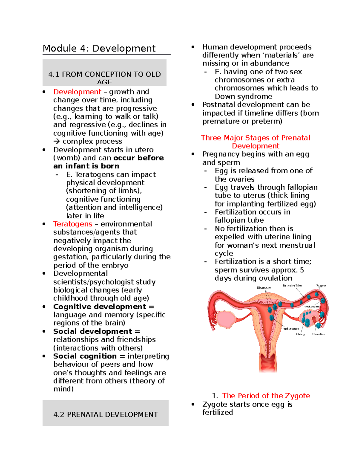 Module 4 development text summary - Module 4: Development Development ...